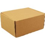 Postpakketdoos, karton, 305x210x91mm, bruin, zelfklevend
