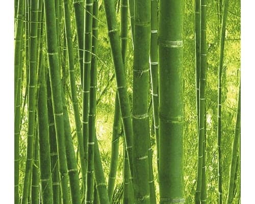 cocktailprikker bamboe teppo skewer 250mm naturel